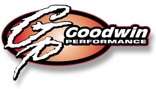 goodwin100212